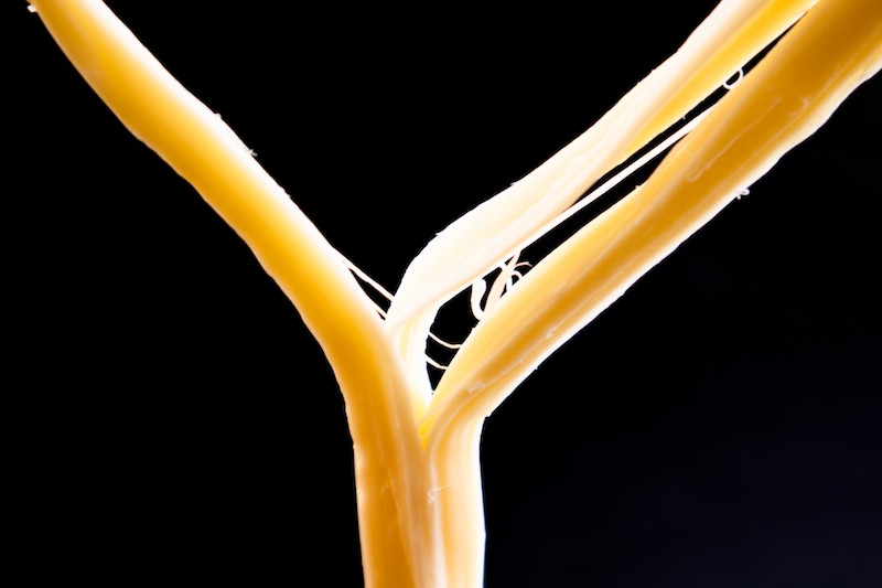 さけるチーズダイエットの注意点