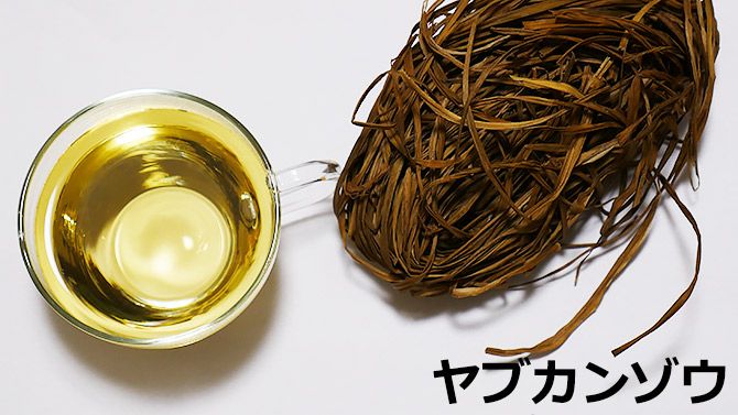 お茶にしました！