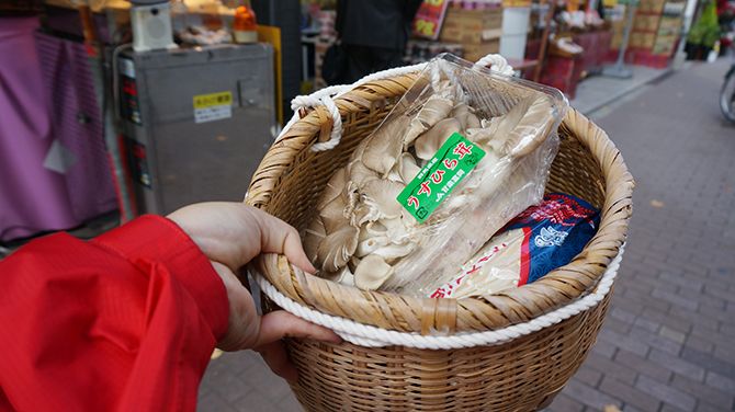 ウスヒラタケなどゲット！