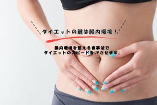 減量したい方から人気