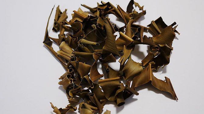 これがゲットウです！