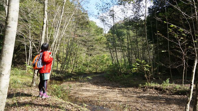 写真を撮るために休日森に出かけました