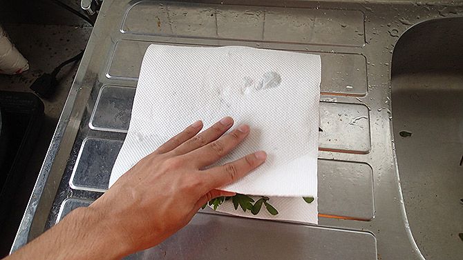 その上にキッチンペーパーを乗せる！