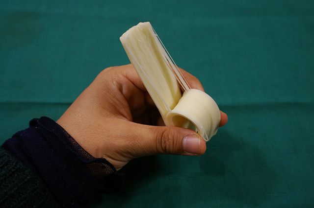 さけるチーズも、筋肉ぽいっ！