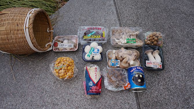 キノコはたくさんとれました！