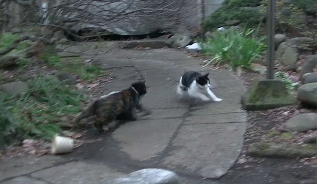 横っ飛びの勢いで体の向きを変えました。

