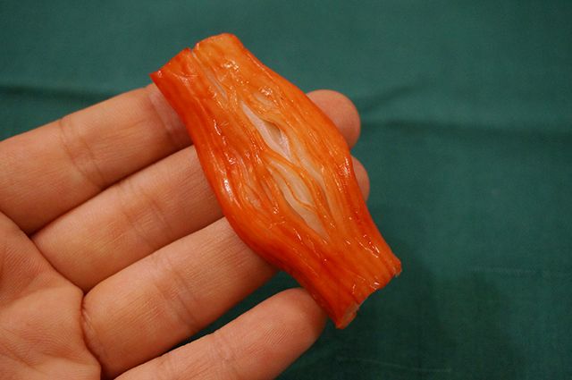 きれてる、きれてるー