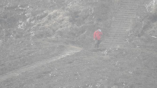 水を飲んでいるのがわかる！（この辺りから雪で画面が白くなります）