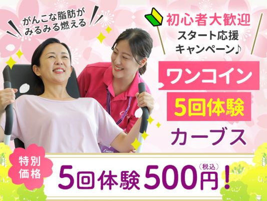 ボディブレードダイエットのやり方】効果・口コミ・体験談|ダイエット ...