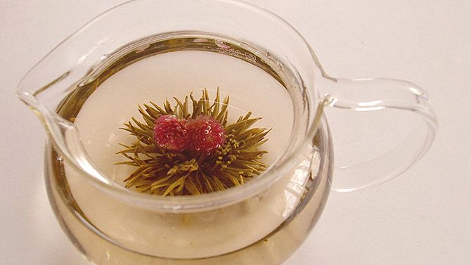 オシャレでもある！