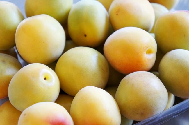 土用の丑を楽しむ