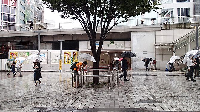 いきなり見つけました！