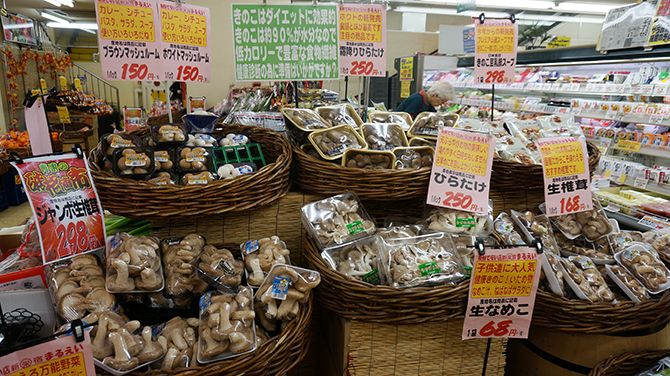 キノコが豊富！