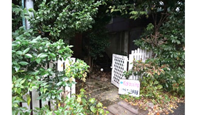 草木に囲まれたジムの入口です