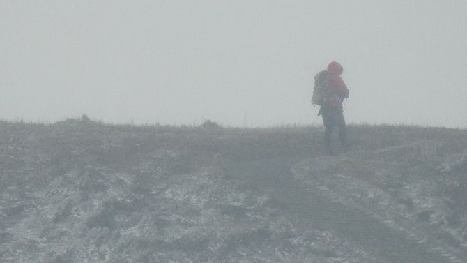 ずっと丸見えだった頂上が目の前に！