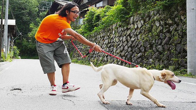 猟犬とウォーキングをすると劇的に痩せる お近くのスポーツジムを探すならfit Search フィットサーチ