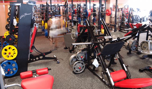 世界トップクラスのマシンを備えたウェイトトレーニング エリア