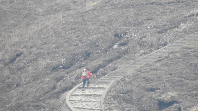 登っていきます