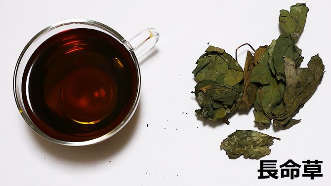 お茶にしました！