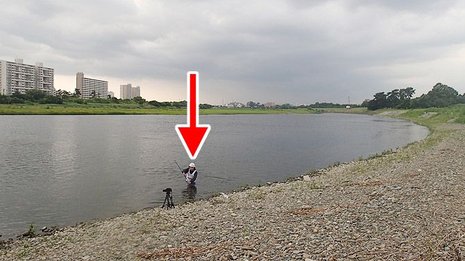 若干、寂しさがあります