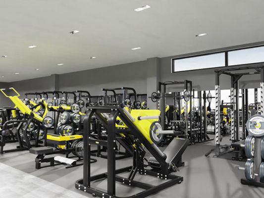 フリーウエイト