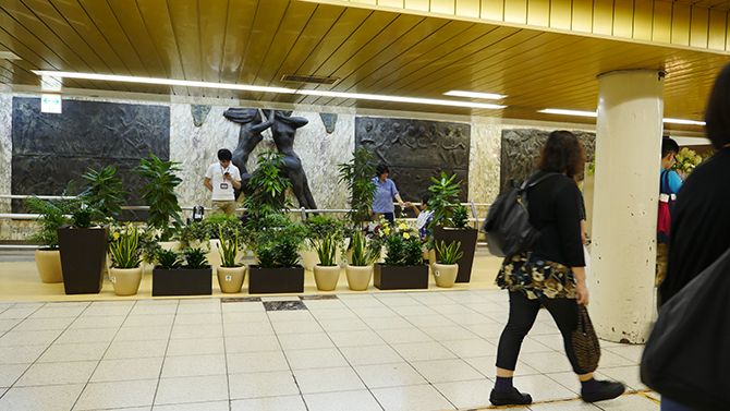 ここで疲れを癒します