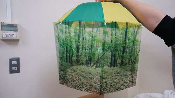 完全に森の中です