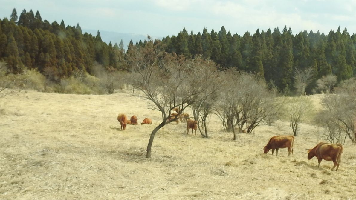 千年以上、人が管理してきました