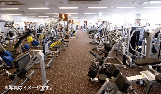 ゴールドジム 南大沢東京のメイン画像