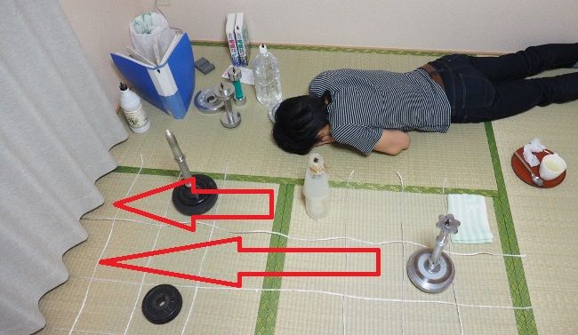 写真の駒は赤い矢印のように動くことができます。
キングがどこに移動しようと、次手でキングを取れます。

