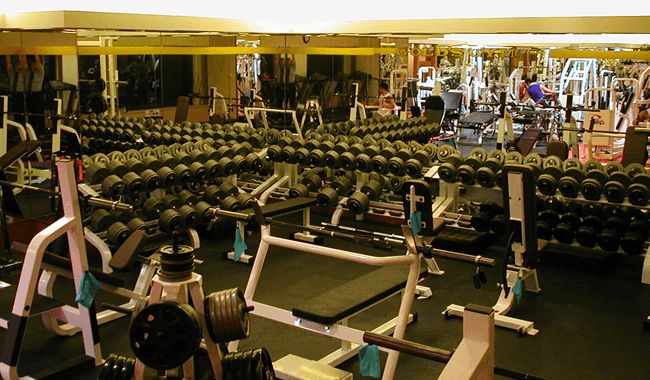 世界トップクラスのマシンを備えたウェイトトレーニング エリア