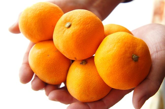 両手いっぱいのみかん
