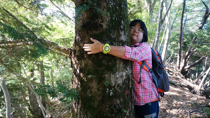 森林に癒されたいけど行くのは面倒くさい