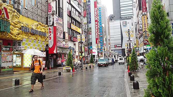 新宿はハーブ（雑草）だらけですよ！