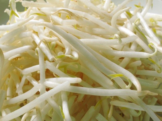 もやしは安価でダイエットの味方 本当の もやしっ子 になろう お近くのスポーツジムを探すならfit Search フィットサーチ