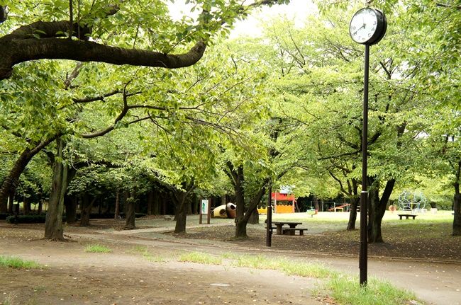 公園で食事なんてどうですか？