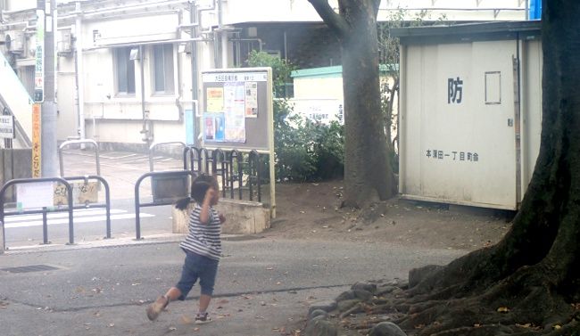 「まいくんどこー？」
この写真のどこかに隠れています。

