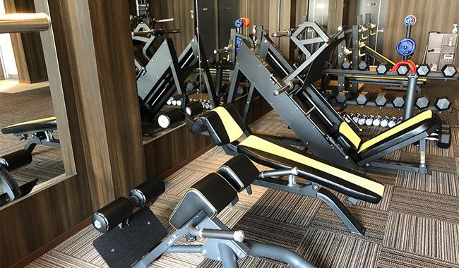 ローマンチェア、腹筋台、レッグプレス