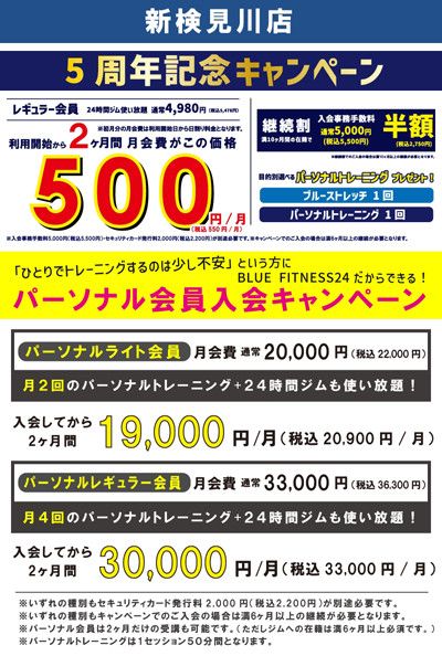 5周年記念キャンペーン<br>レギュラー会員　利用開始から2ヶ月間月会費がこの価格<br>500円(税込550円)/月