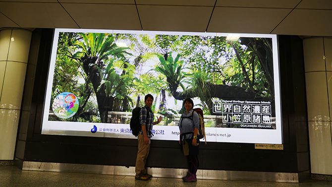 本当は看板だけど