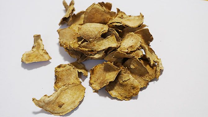 これがウコンです！