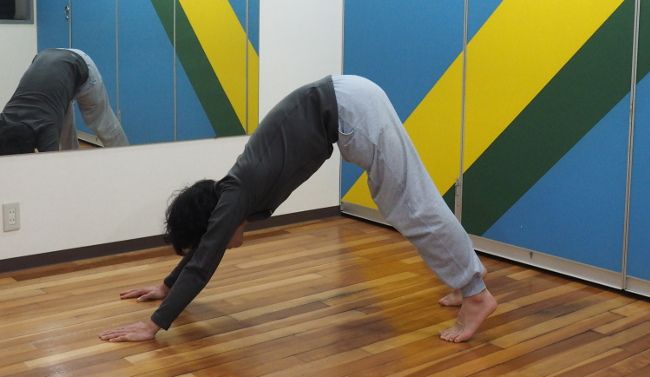 ちなみに、犬をモチーフにしたヨガのポーズは存在します。
 上の写真は「下を向いた犬」という名前のポーズです。

