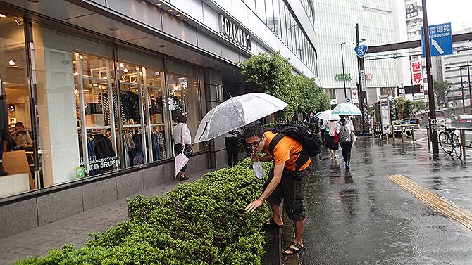 採取の時に雨が降っていなかったらもっと楽しかった！