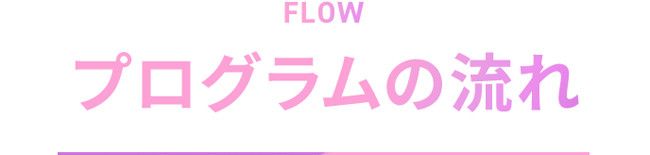 プログラムの流れ